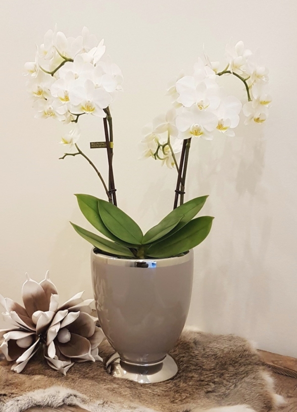 Tischvase / Übertopf - Keramik - rund - taupe / silber - Höhe 19,5 cm – Bild 3
